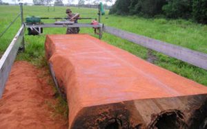 Cutting Slabs of Australian Hardwood