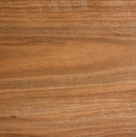 spottedgum hardwood timber